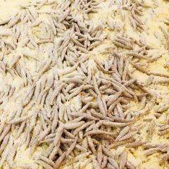 YONG CHANG LAO GUAN ZI ảnh của người dùng