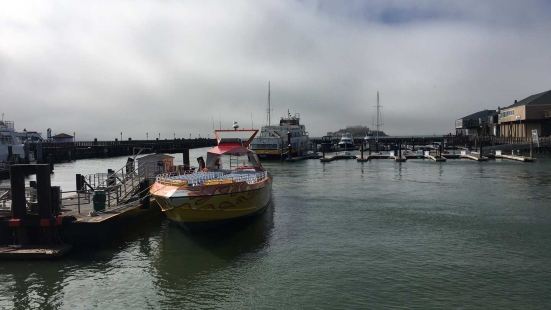 旧金山码头就是轮流码头这块的，在轮渡码头这里可以坐船游览旧金