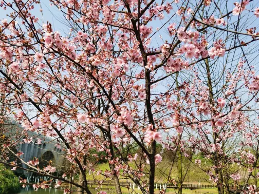湖南松雅湖國家濕地公園