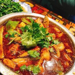 发记四川大盆鱼 User Photo