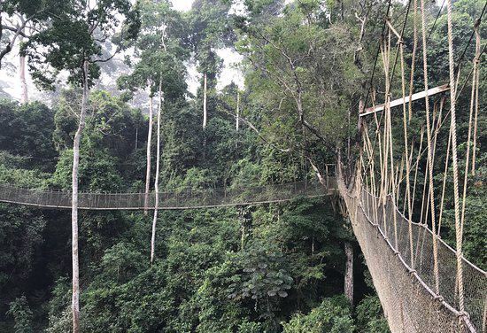 Kakum National Park