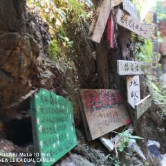 CAO TANG CHA JU User Photo