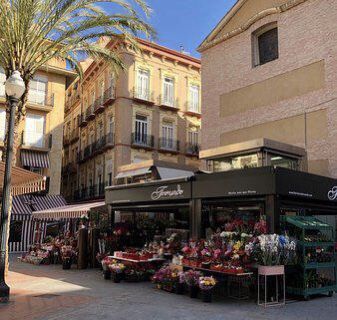 Plaza de las Flores