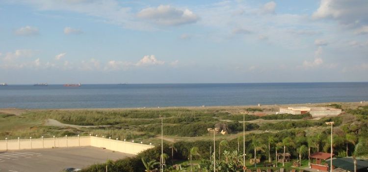 Senso Hilton Alger