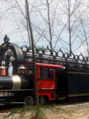 Маленький поезд в лесном парке Хэшань