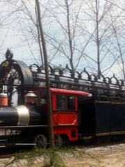 Hefei Binhu Forest Park Train