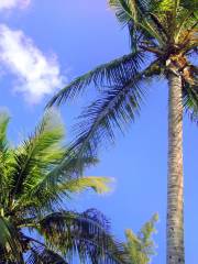 Fort Zachary Taylor Historic State Park