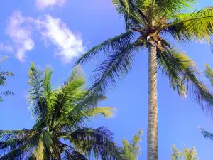 贊崔利·泰勒堡歷史國家公園