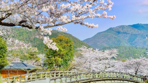 Arashiyama Park