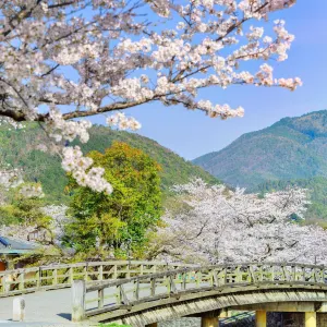 嵐山公園