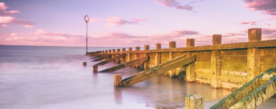 Portobello