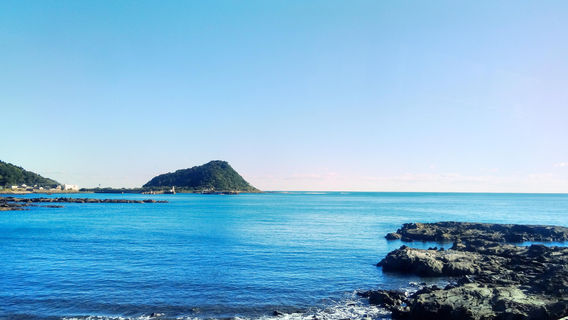 Miyazaki