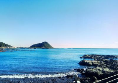 Nichinan Coast