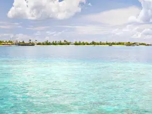 Van'gaaru