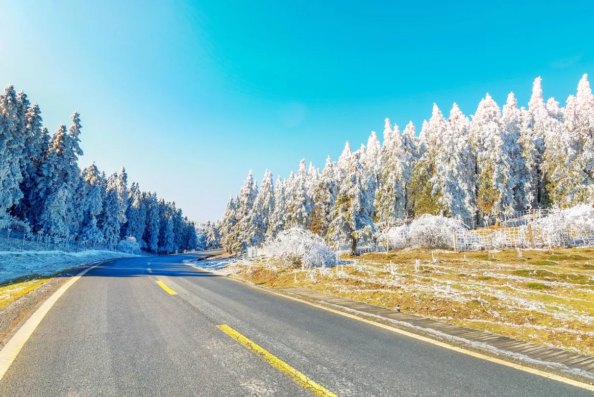 5_仙女山國家森林公園