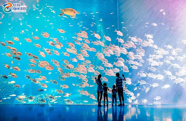 3_珠海長隆海洋王國·鯨鯊館