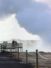 Gunnuhver Geothermal Area