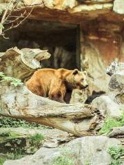 阿爾卑斯山動物園