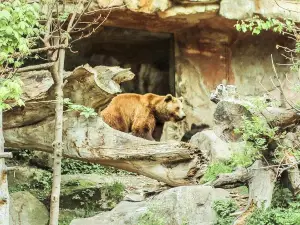 Alpenzoo Innsbruck - Tirol