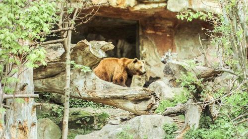 Alpine Zoo Innsbruck