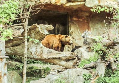 Alpenzoo Innsbruck - Tirol