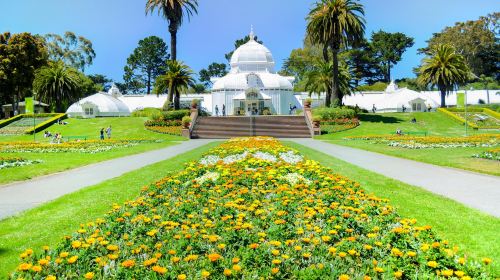 Golden Gate Park