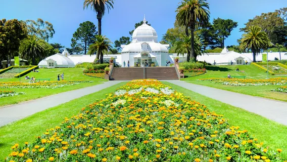 Golden Gate Park