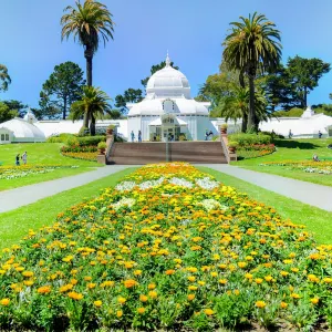 Golden Gate Park