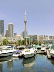 Toronto Harbour