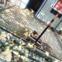 評論圖片 8