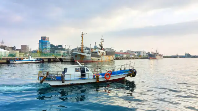 Hotels near Daepo Port