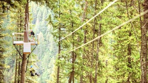 Superfly Ziplines