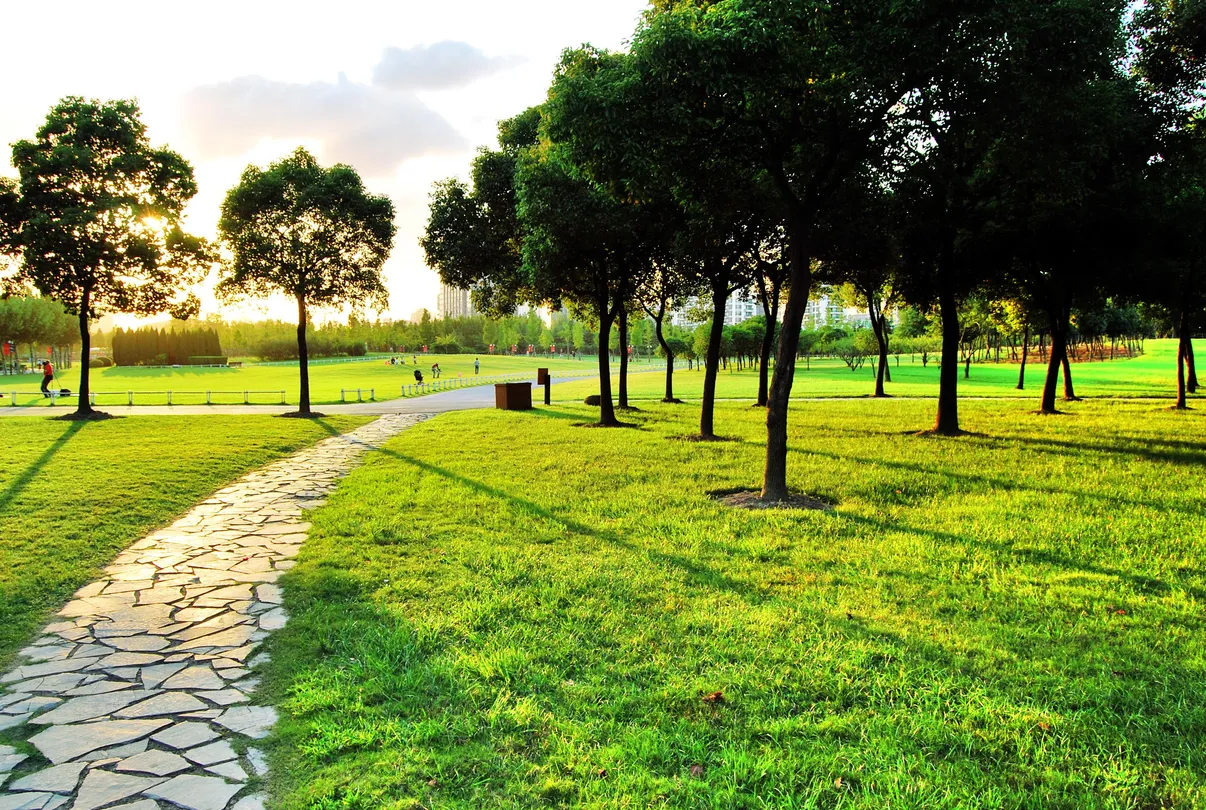 5_Century Park