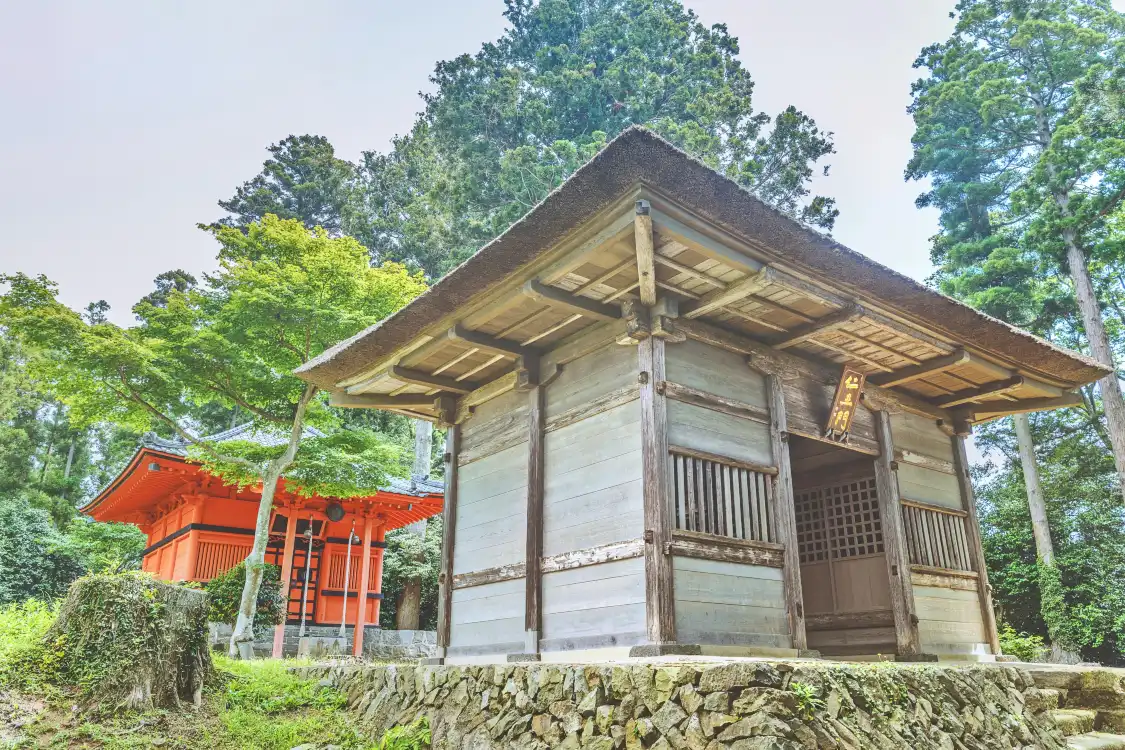 Các khách sạn gần Tomiyama