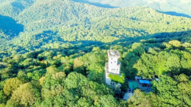 Хостинский район