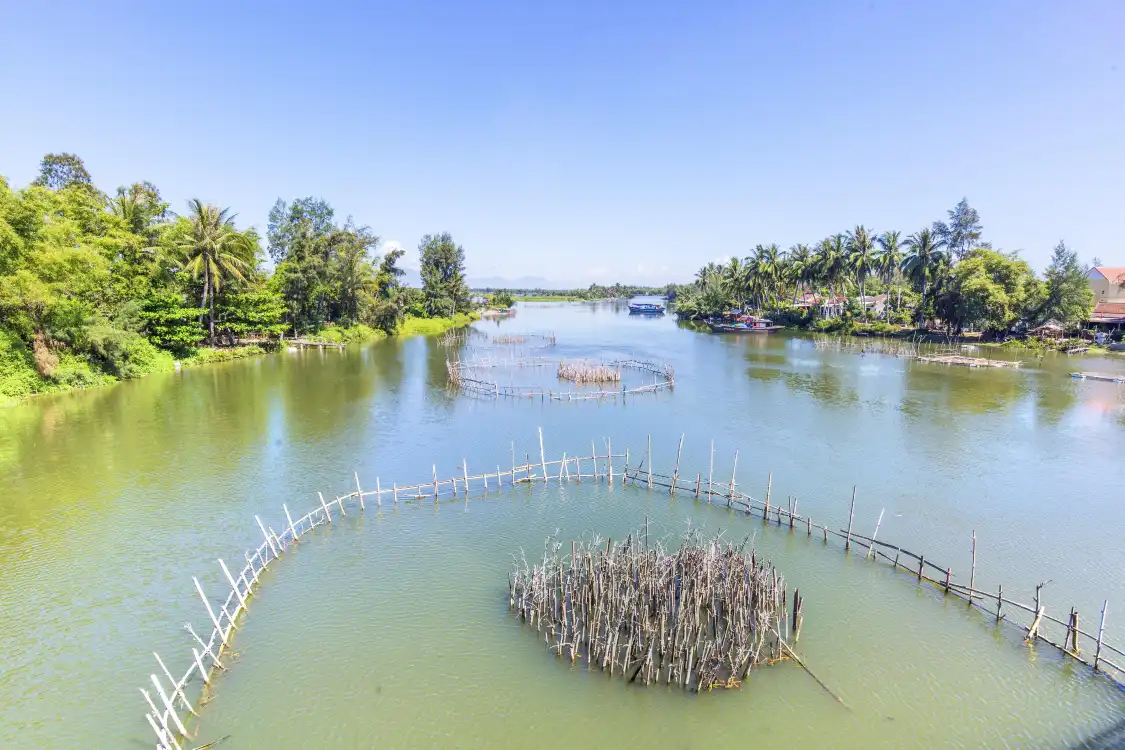 Hotels near Tra Que Vegetable Village