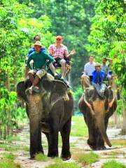 Kaibae Meechai Elephant Camp