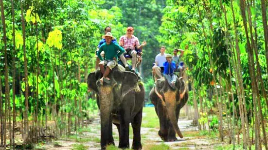 Kaibae Meechai Elephant Camp