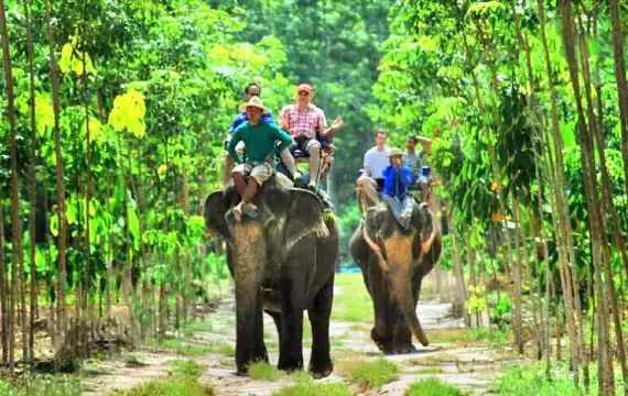 Hotels near Kaibae Meechai Elephant Camp