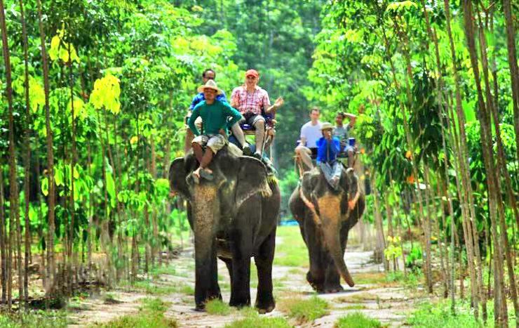 Kaibae Meechai Elephant Camp