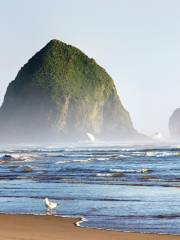 Cannon Beach