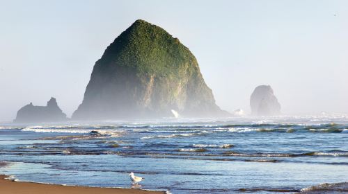 Cannon Beach