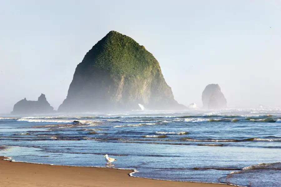 Cannon Beach