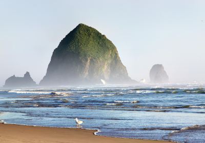 Cannon Beach