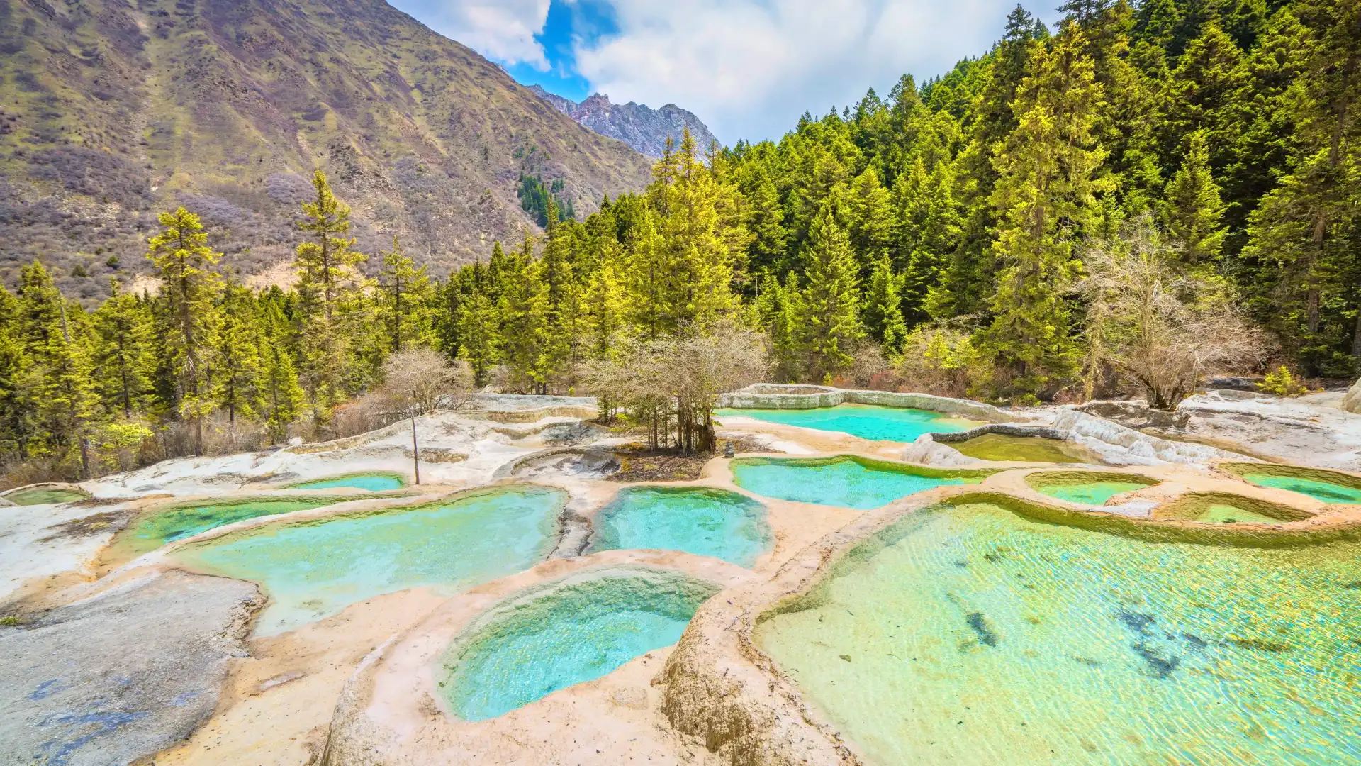 Hotels near Zhengyan (Flamboyant) Pond