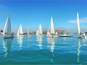 Xiamen Shengda Sailing