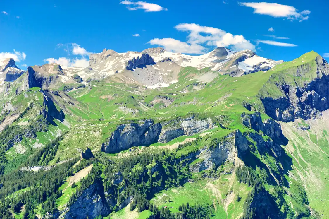 Hotels near Schynige Platte