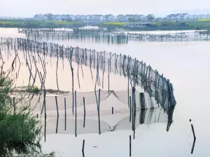 美人腿半島風景区