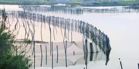 美人腿半島風景區