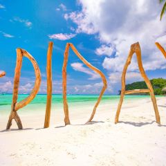 The Sunny Side Cafe User Photo